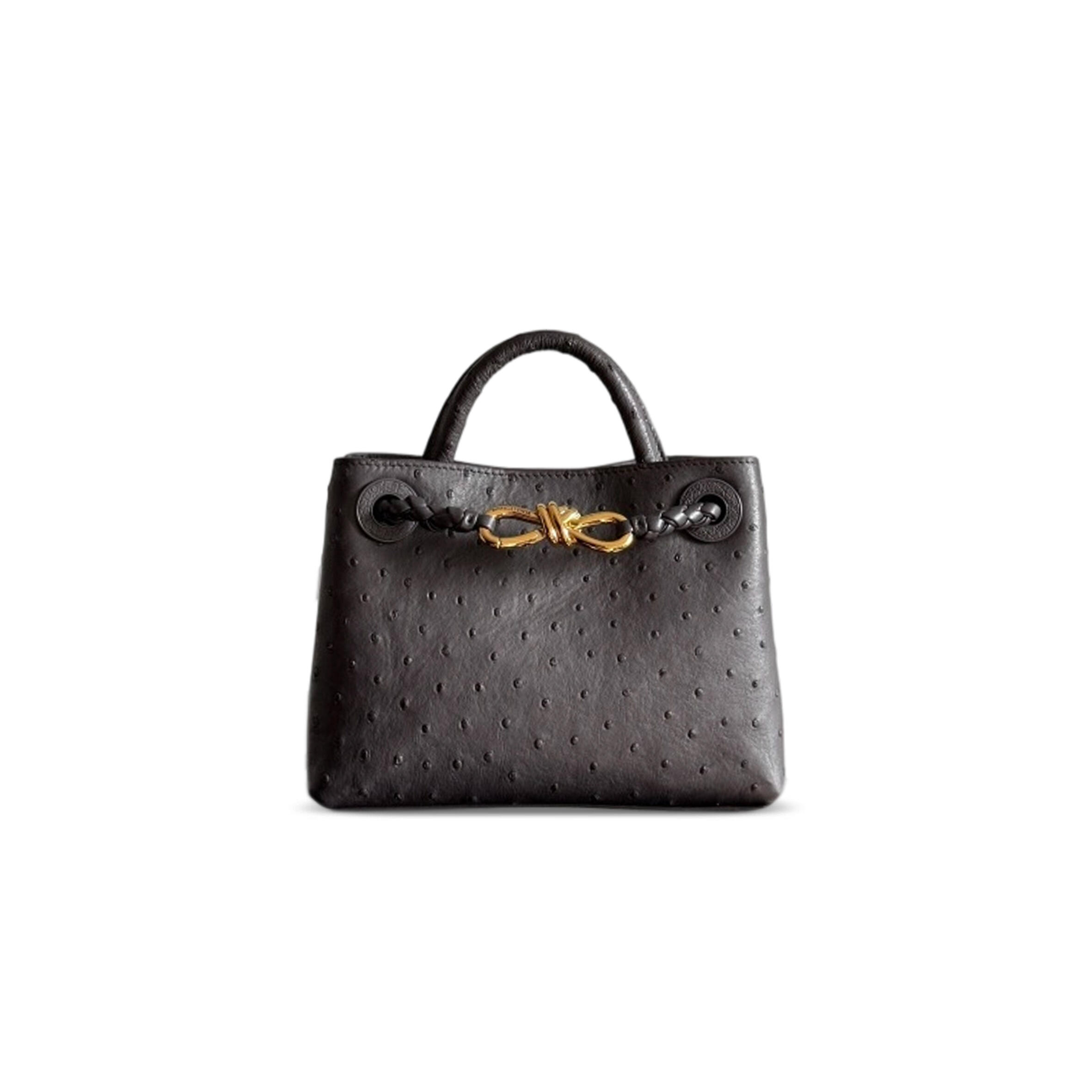 BOTTEGA VENETA MINI ANDIAMO OSTRICH LEATHER 805232 (20.5*15*7.5cm)